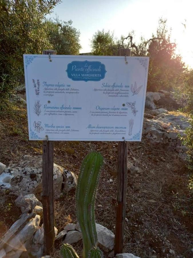 Le Capanne Di Villa Margherita Sonnino Exterior foto