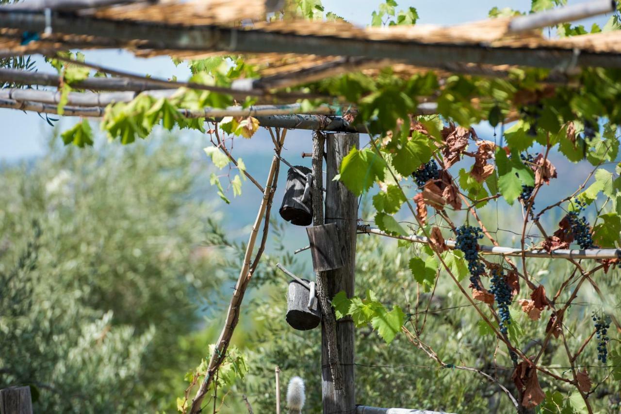 Le Capanne Di Villa Margherita Sonnino Exterior foto